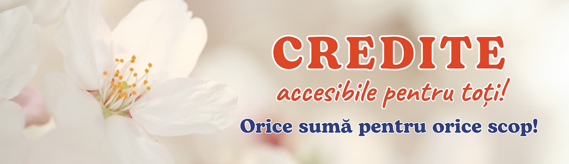 Credit Comod | Credite fără gaj în Moldova - Credit Comod